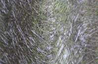 Kings Newnham fibreglass roof work